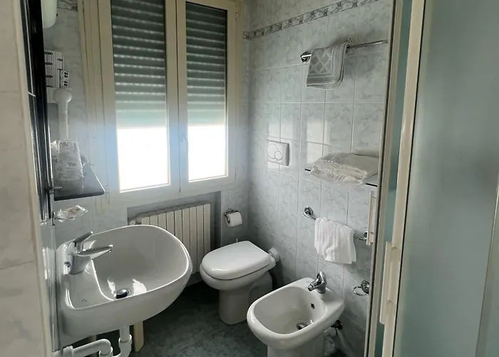 拿破仑酒店 酒店