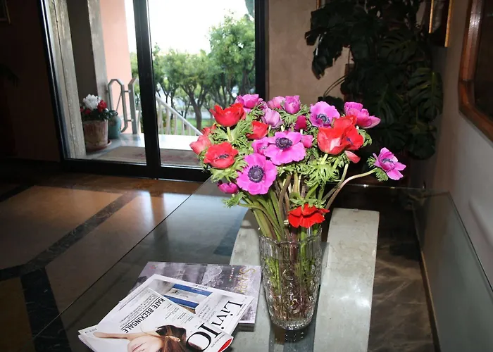 拿破仑酒店 酒店 圣雷默